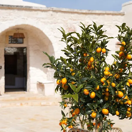 Ombre Pugliesi Ostuni