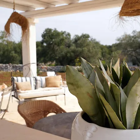 Bed & Breakfast Ombre Pugliesi